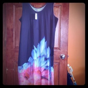 NWT  maxi dress